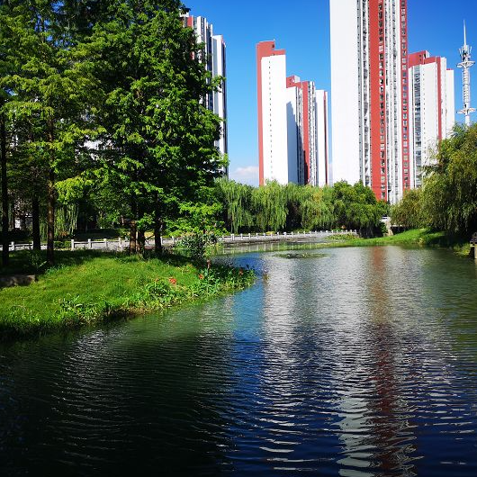 新华日报头条 深度解析PA视讯平台水环境综合提升工程