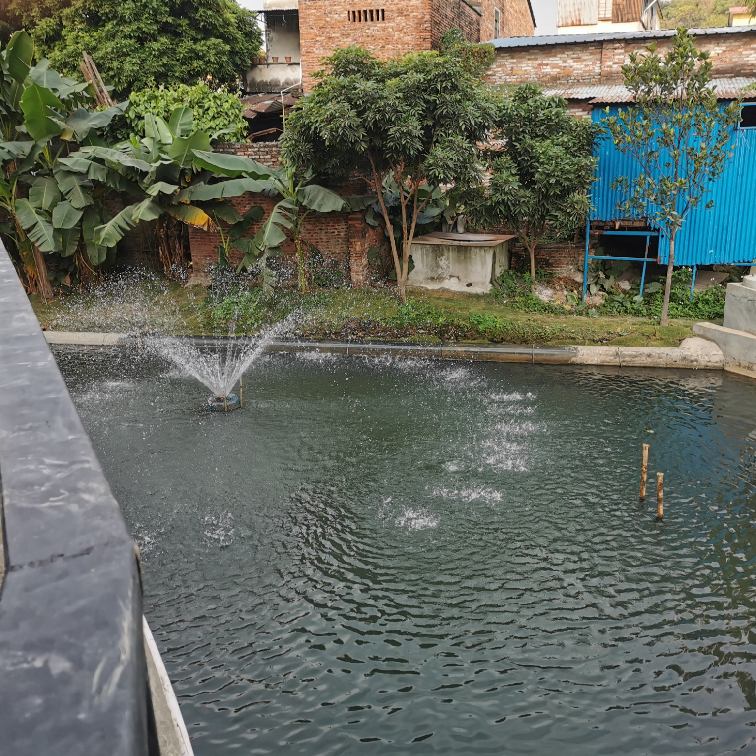 PA视讯平台助力顺德打赢黑臭水体攻坚战