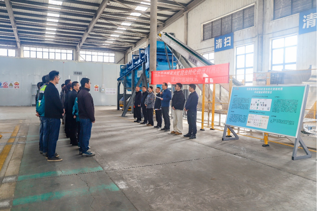 PA视讯平台酱酒糟黑水虻转化中试项目启动试运行