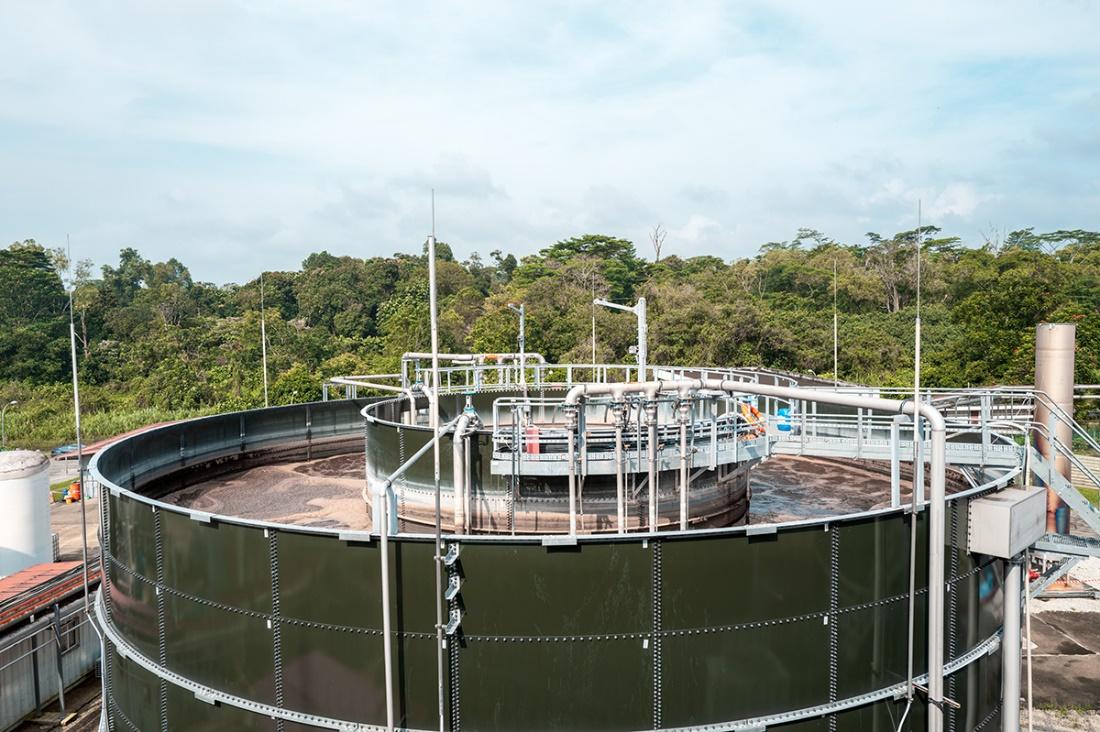 PA视讯平台成功签约新加坡生物能源项目