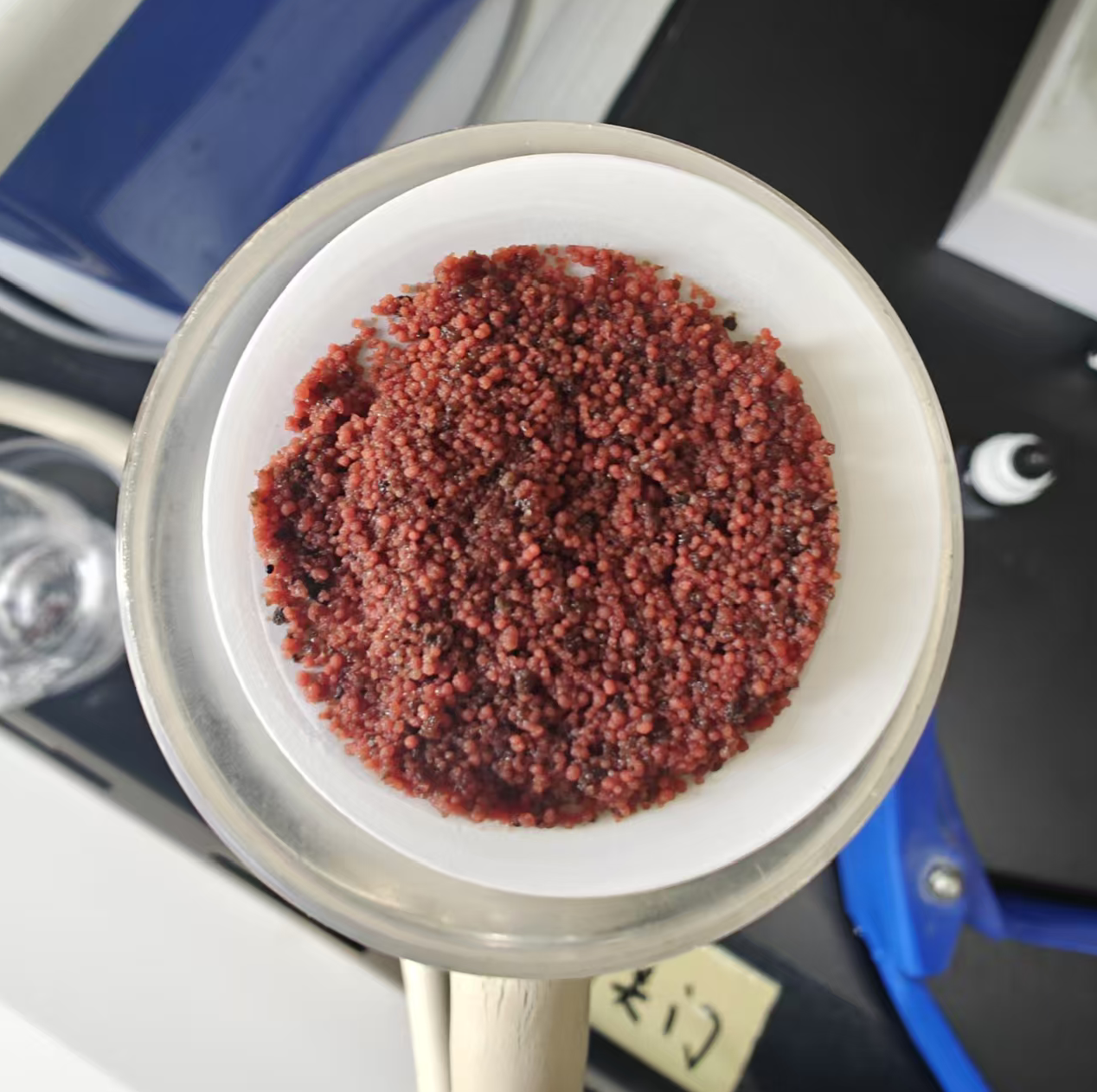 年节碳源超300吨，PA视讯平台西安江村沟项目厌氧氨氧化工艺实现生态经济双赢