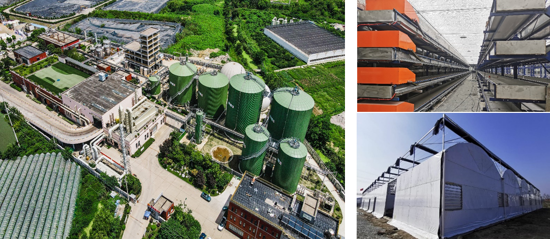 PA视讯平台集团：以碳氮循环为核心，构建生物质废弃物资源化闭环路径